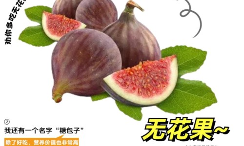 生姜山楂花椒水的功效-生姜片贴涌泉的功效和作用专区_生姜片功效专区_生姜烧鸡的功效网