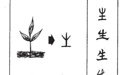 生姜烧鸡的功效与禁忌-生姜片贴涌泉的功效和作用专区_生姜片功效专区_生姜烧鸡的功效网