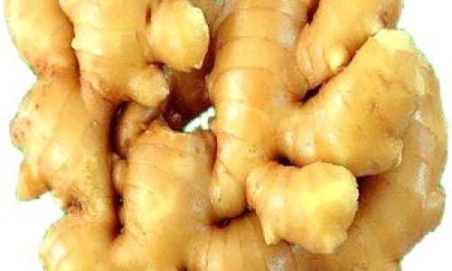 生姜煮鸡的作用与功效-生姜片贴涌泉的功效和作用专区_生姜片功效专区_生姜烧鸡的功效网